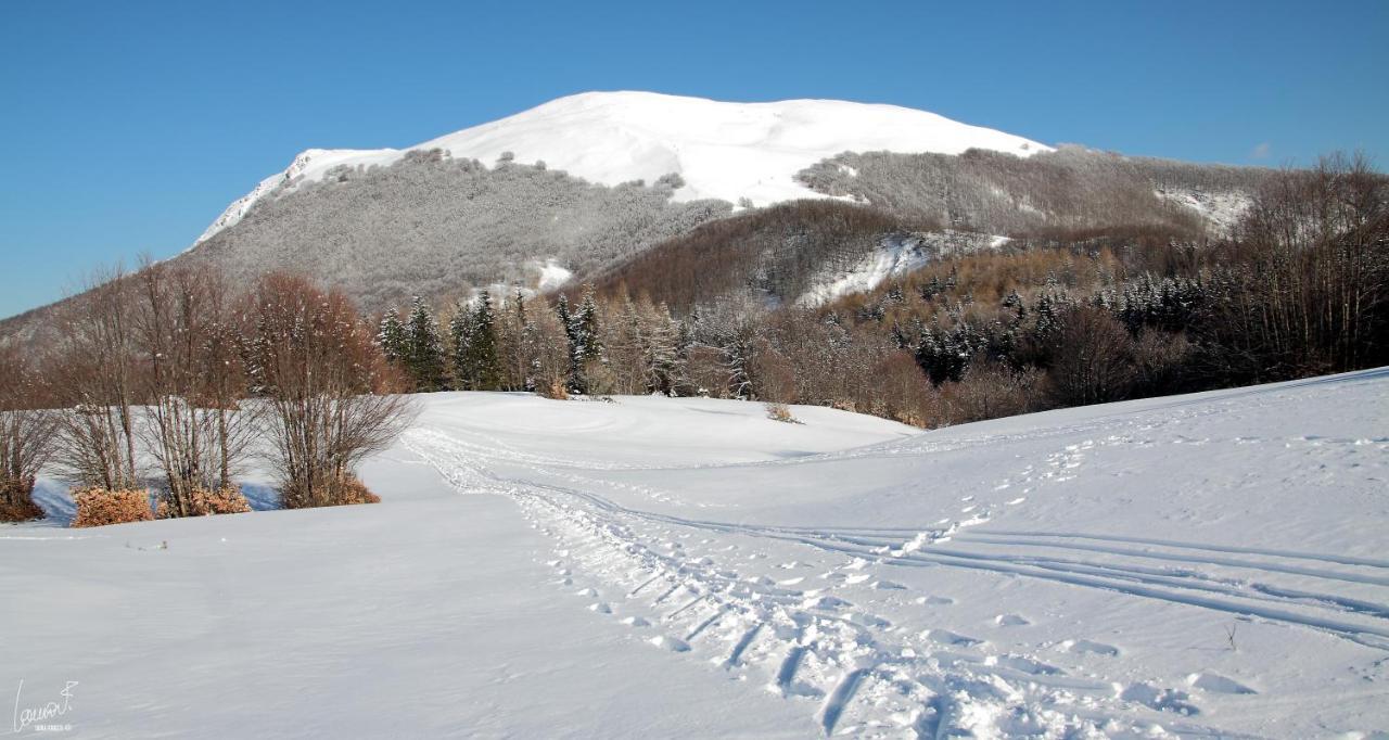 Antica Locanda Bonfiglio Busana Екстер'єр фото